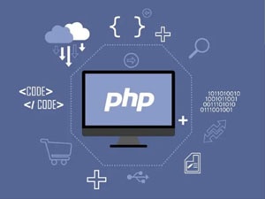 php定制开发,功能定制,程序修护，基于PHP的电子商务服务